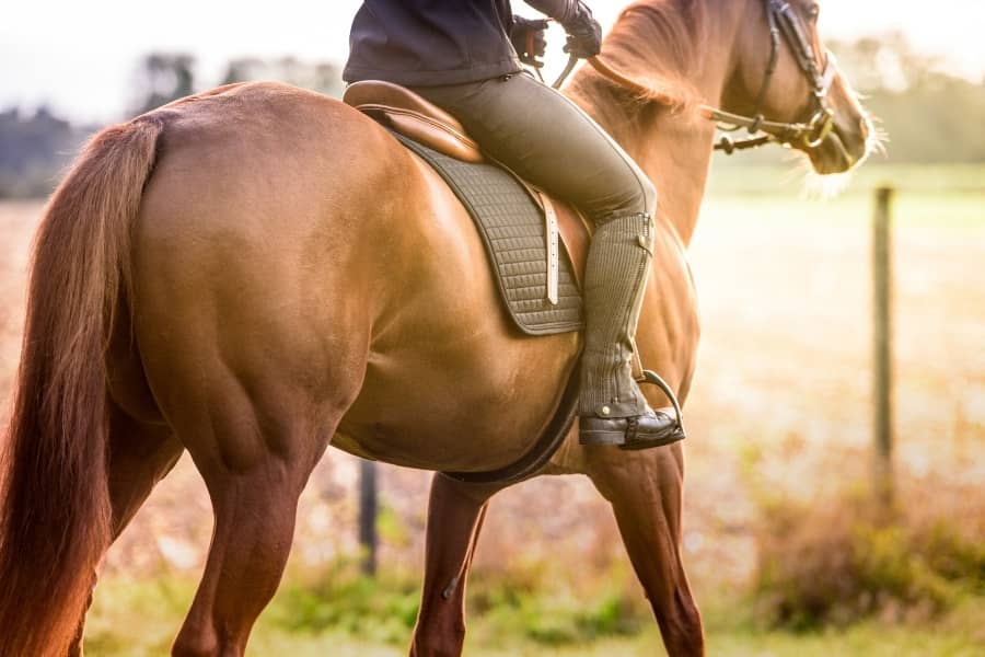 beneficios para la salud de montar a caballo