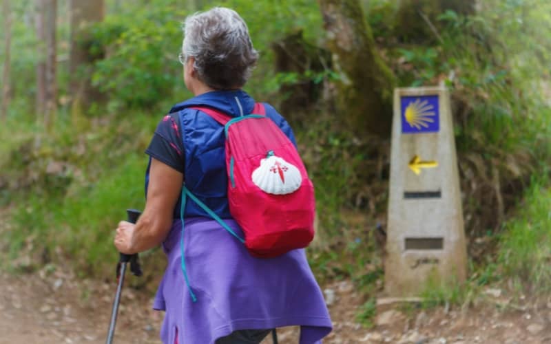 Camino de Santiago
