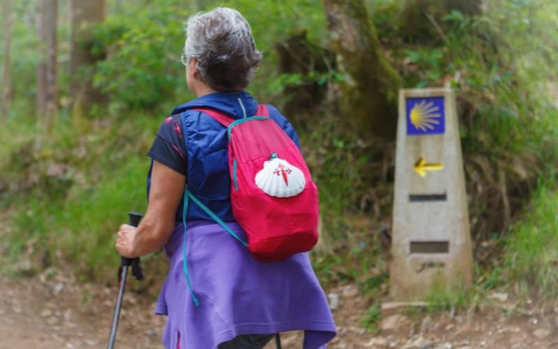 Camino de Santiago