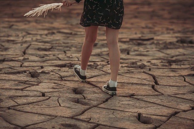 ¿Qué emoción humana soy?